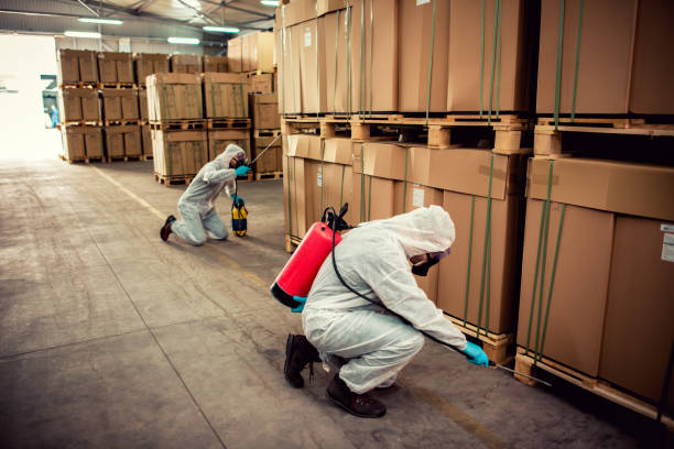 Best Exterminator Services  in Evansville, IN